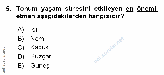 Soru 5