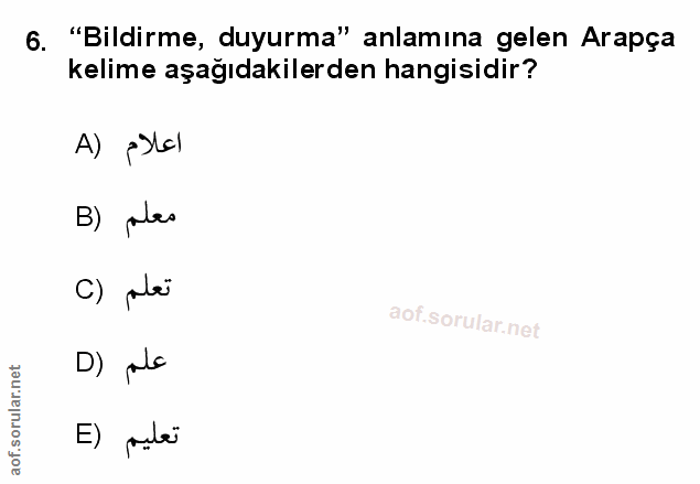 Soru 6