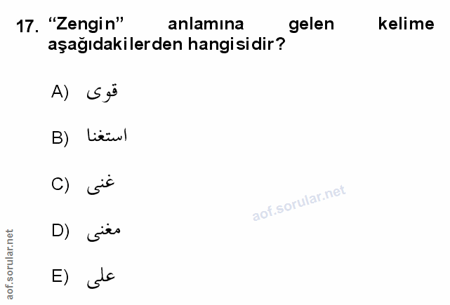 Soru 17