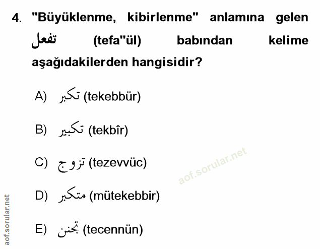 Soru 4