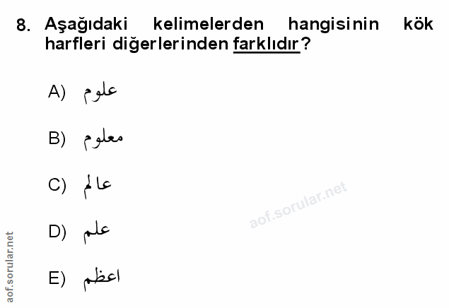 Soru 8