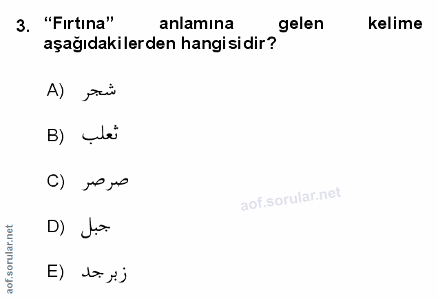 Soru 3