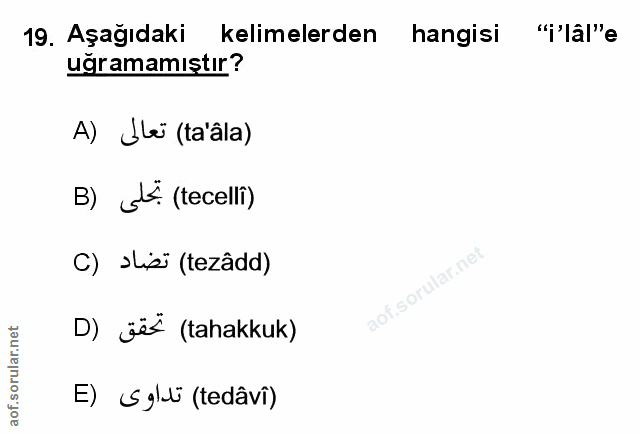 Soru 19