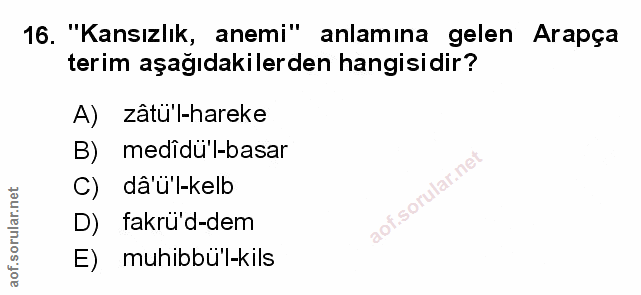 Soru 16