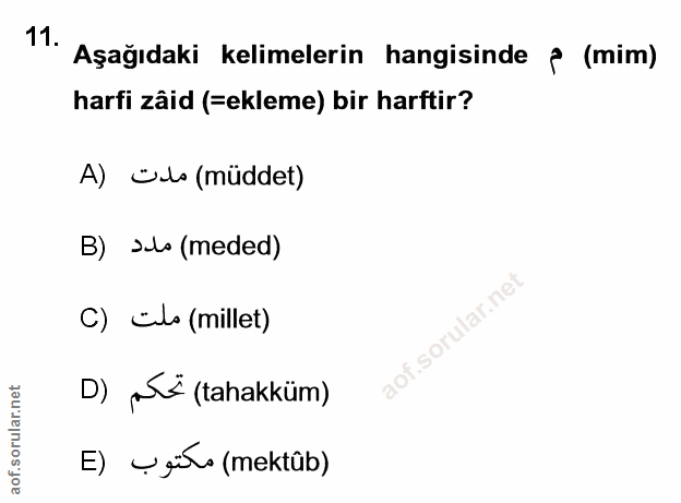 Soru 11