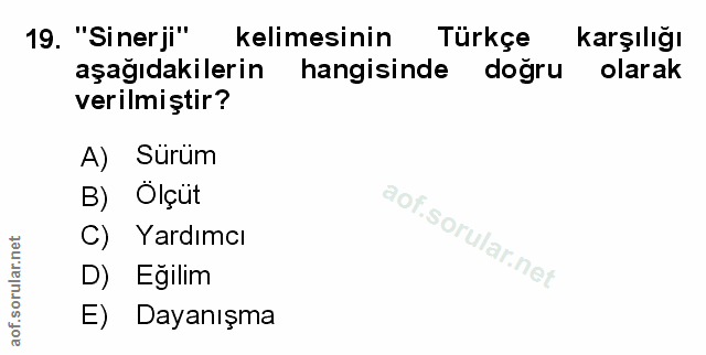 Soru 19