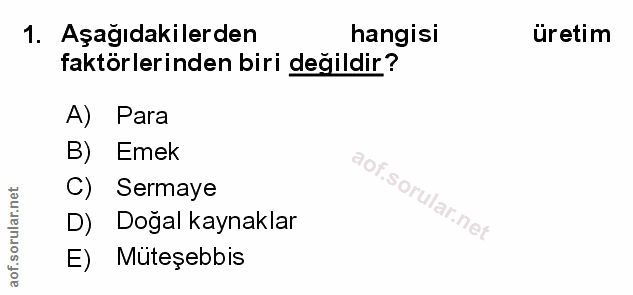 Soru 1
