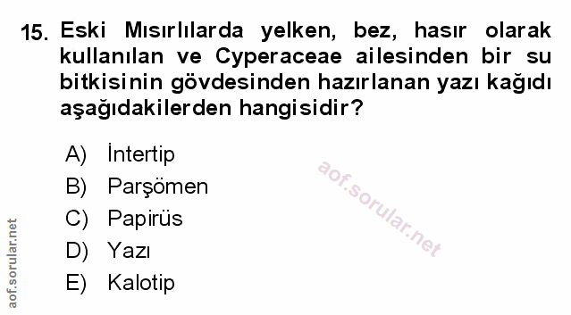 Soru 15