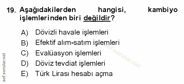 Soru 19