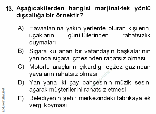 Soru 13
