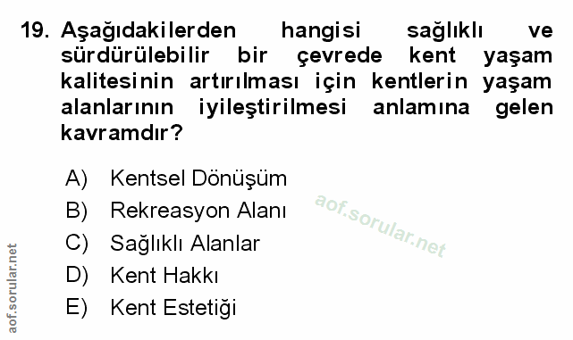 Soru 19