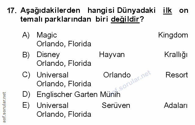 Soru 17