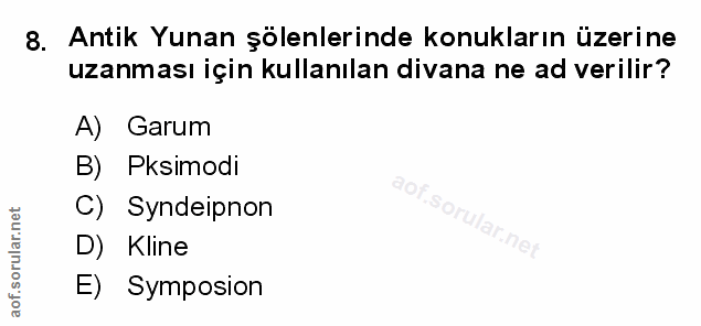 Soru 8