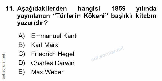 Soru 11