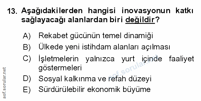 Soru 13