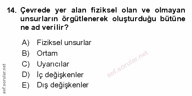 Soru 14