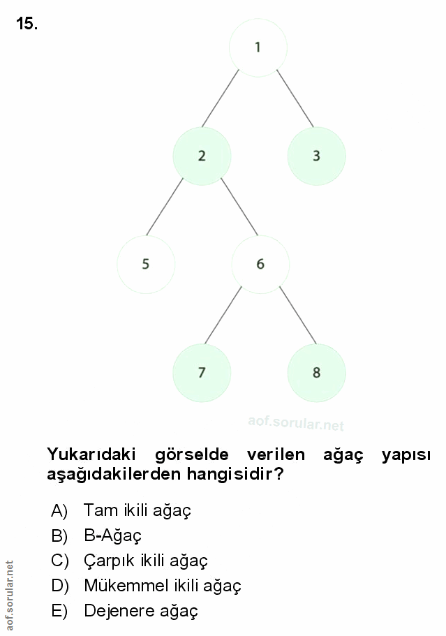 Soru 15