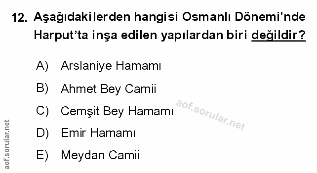 Soru 12