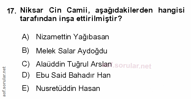 Soru 17