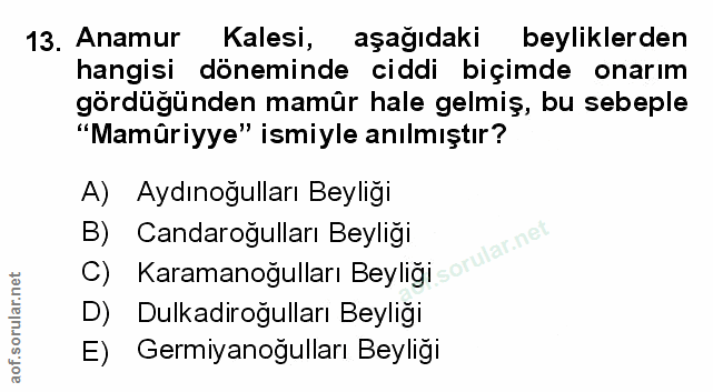 Soru 13