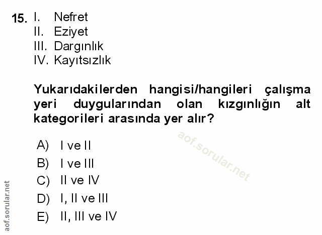 Soru 15