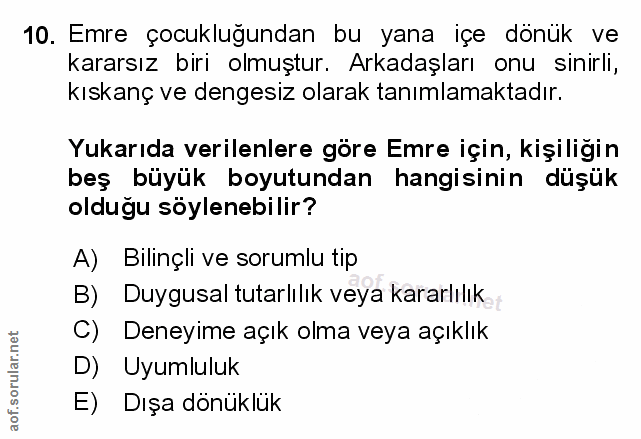 Soru 10