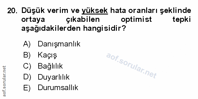 Soru 20