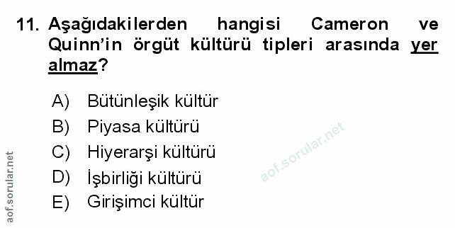 Soru 11