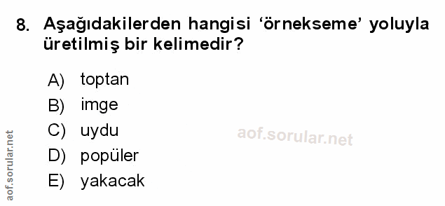Soru 8
