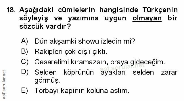 Soru 18