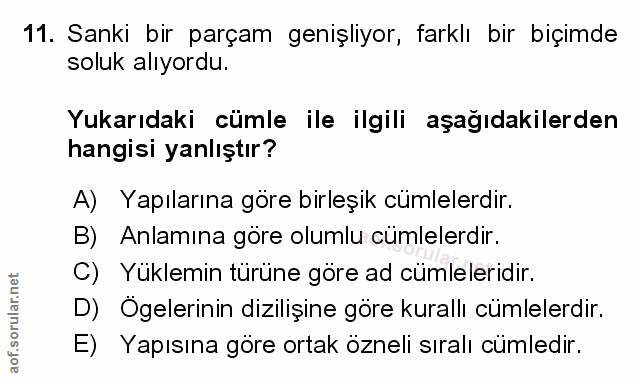 Soru 11