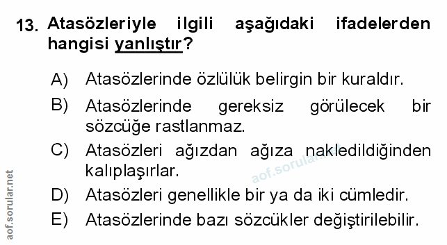 Soru 13