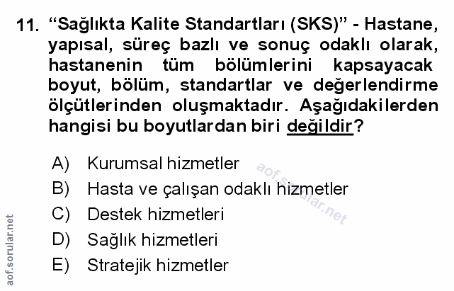 Soru 11