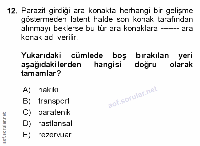 Soru 12