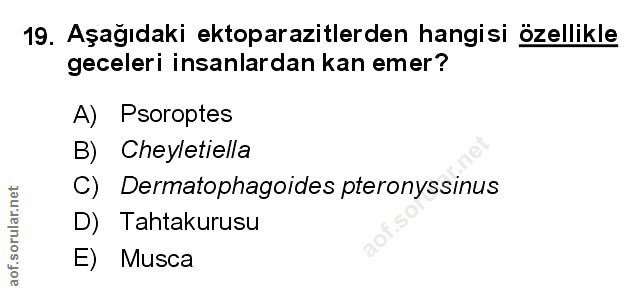 Soru 19