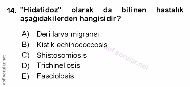 Soru 14