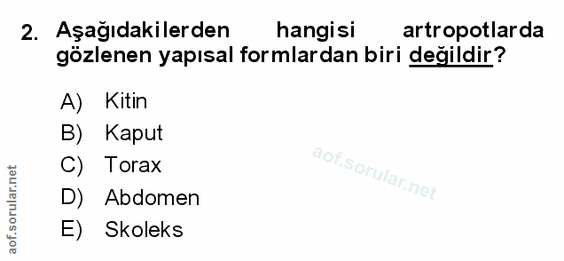 Soru 2