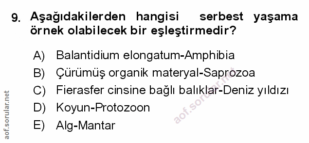 Soru 9
