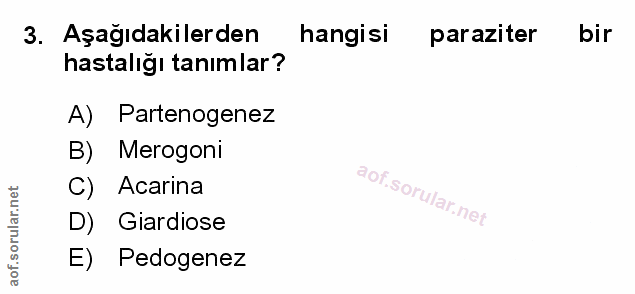 Soru 3