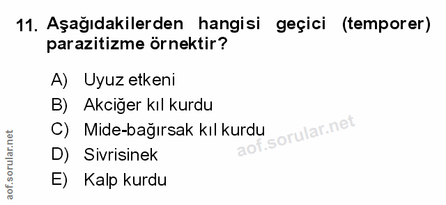 Soru 11