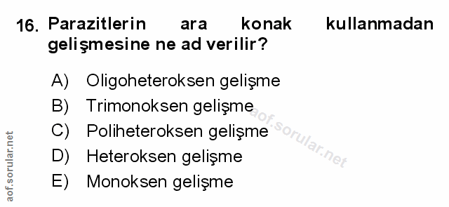 Soru 16