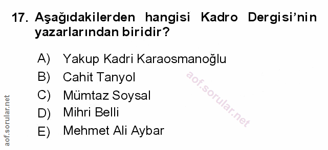 Soru 17