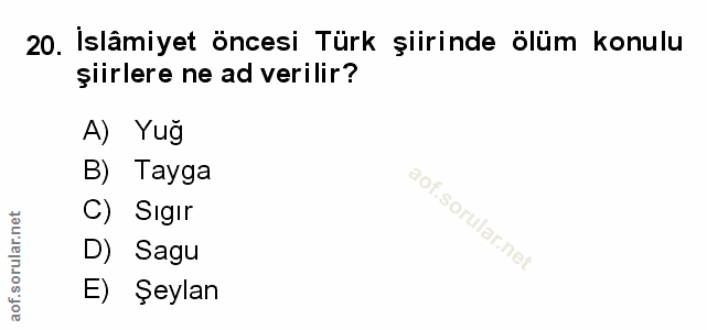 Soru 20