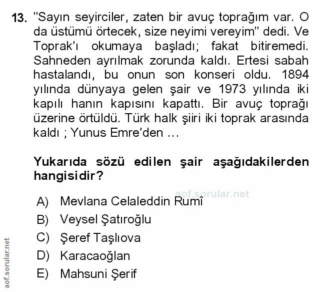 Soru 13