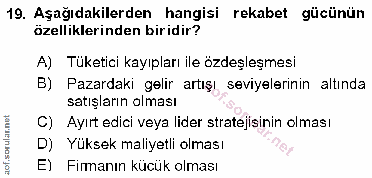 Soru 19