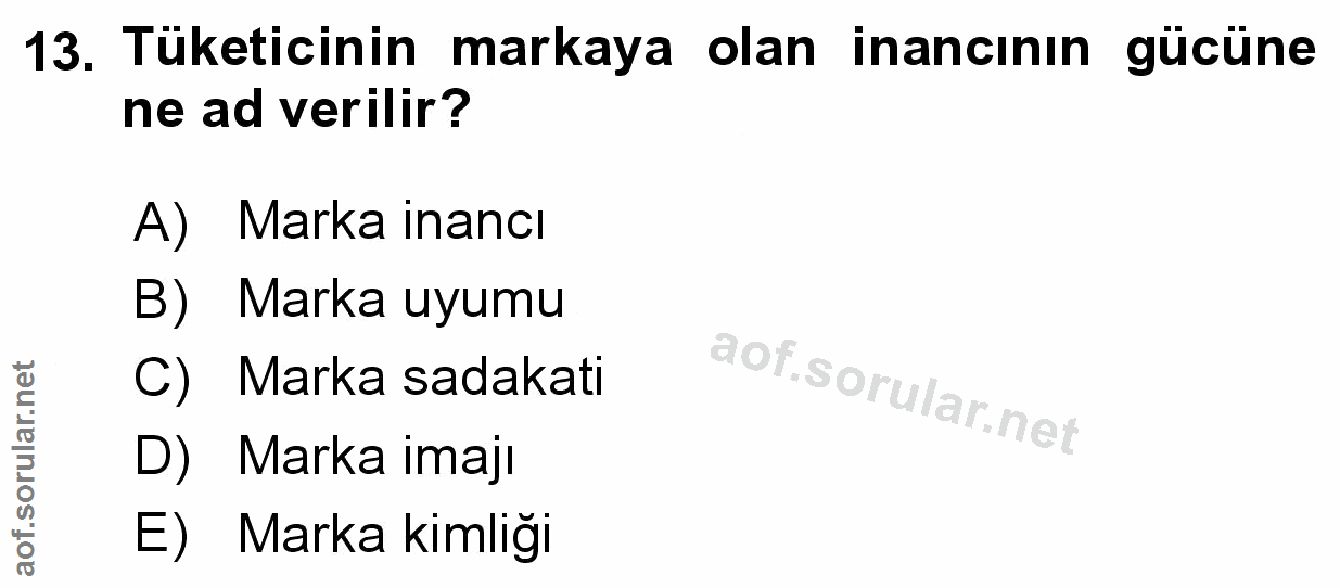 Soru 13