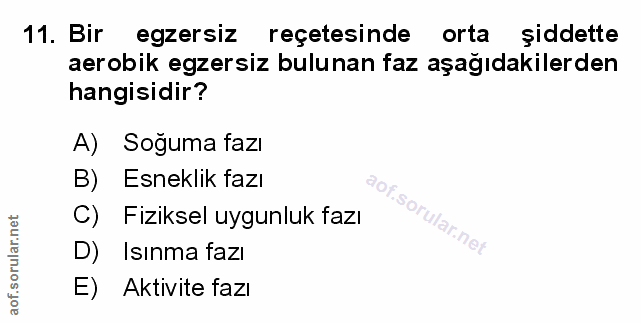 Soru 11