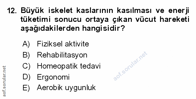Soru 12