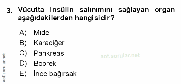 Soru 3