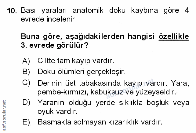 Soru 10